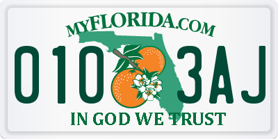 FL license plate 0103AJ