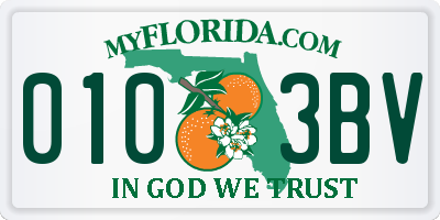 FL license plate 0103BV