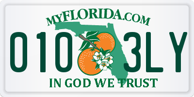 FL license plate 0103LY