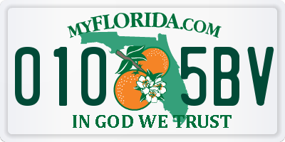 FL license plate 0105BV