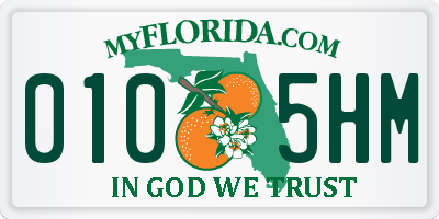 FL license plate 0105HM