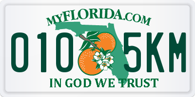 FL license plate 0105KM