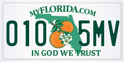 FL license plate 0105MV