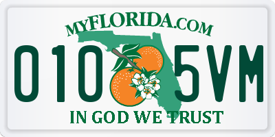 FL license plate 0105VM