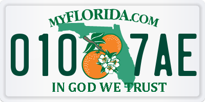 FL license plate 0107AE