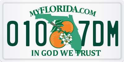 FL license plate 0107DM