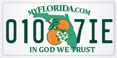 FL license plate 0107IE