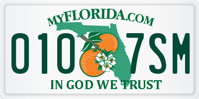 FL license plate 0107SM