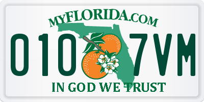 FL license plate 0107VM