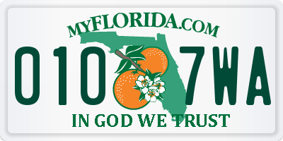 FL license plate 0107WA