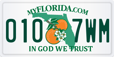 FL license plate 0107WM