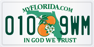 FL license plate 0109WM