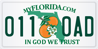 FL license plate 0110AD