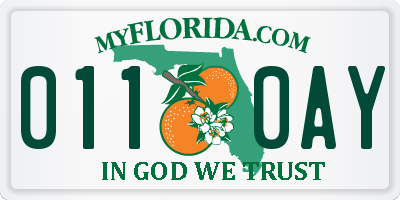 FL license plate 0110AY