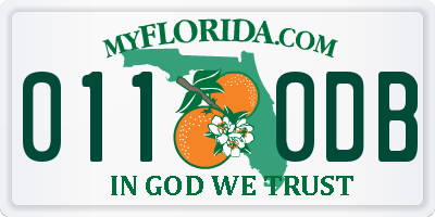 FL license plate 0110DB