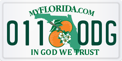 FL license plate 0110DG