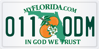 FL license plate 0110DM