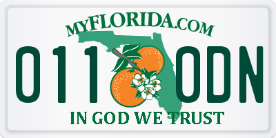 FL license plate 0110DN