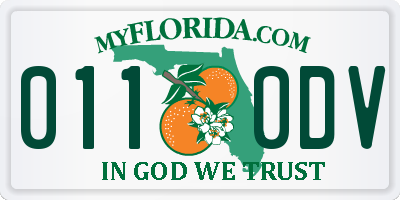 FL license plate 0110DV
