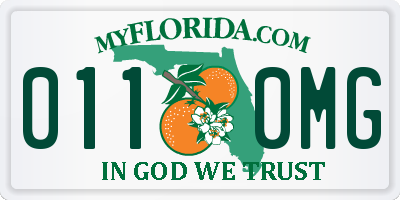 FL license plate 0110MG