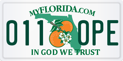 FL license plate 0110PE