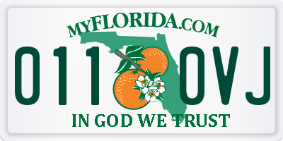 FL license plate 0110VJ