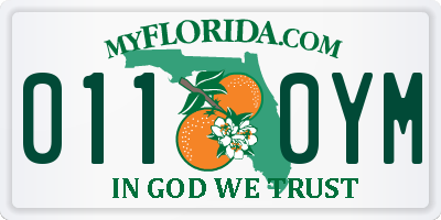 FL license plate 0110YM