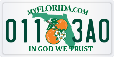 FL license plate 0113AO