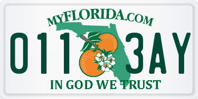 FL license plate 0113AY