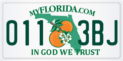 FL license plate 0113BJ