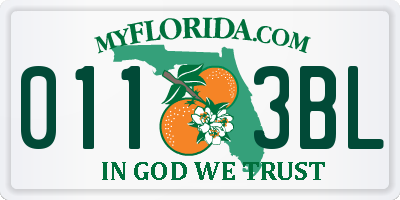 FL license plate 0113BL
