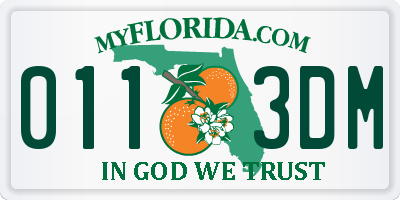 FL license plate 0113DM