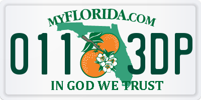 FL license plate 0113DP