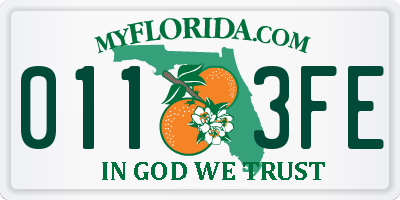 FL license plate 0113FE