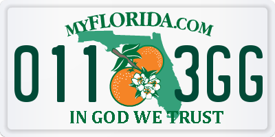 FL license plate 0113GG