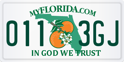 FL license plate 0113GJ