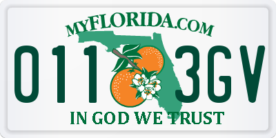 FL license plate 0113GV