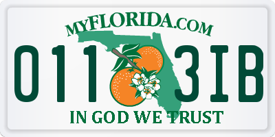 FL license plate 0113IB