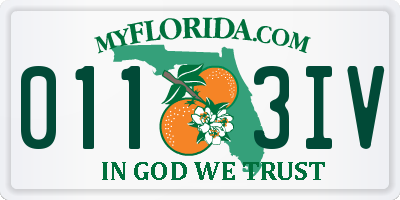 FL license plate 0113IV