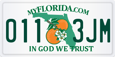 FL license plate 0113JM