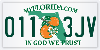 FL license plate 0113JV