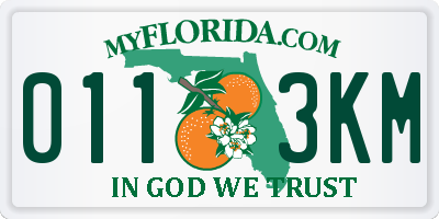 FL license plate 0113KM