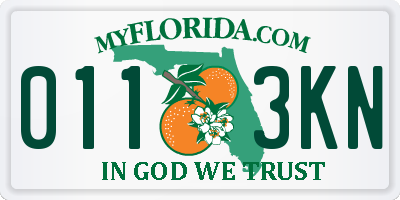 FL license plate 0113KN