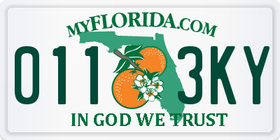 FL license plate 0113KY