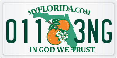FL license plate 0113NG