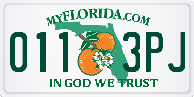 FL license plate 0113PJ