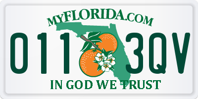 FL license plate 0113QV