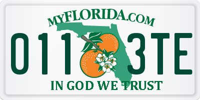 FL license plate 0113TE