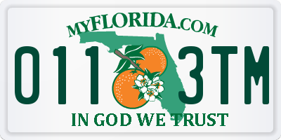 FL license plate 0113TM