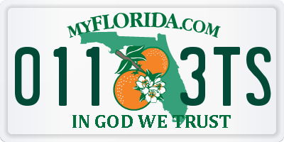 FL license plate 0113TS